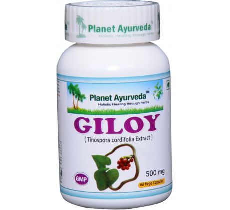 Giloy (Guduchi), antioxidant, podpora imunity, 60 kapsúl