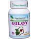 Giloy (Guduchi), antioxidant, podpora imunity, 60 kapsúl