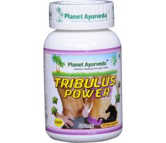 Tribulus Power, reprodukčný systém u mužov, 60 kapsúl