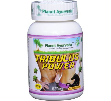 Tribulus Power, reprodukčný systém u mužov, 60 kapsúl