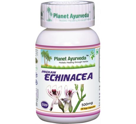 Indická Echinacea (Právenka latnatá), pečeň, obličky, imunita, 60 kapsúl