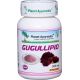 Gugullipid, antioxidant, znižuje tvorbu cholesterolu, 60 kapsúl