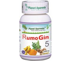 RumoGin5, zápalové ochorenia, artritída, 60 kapsúl