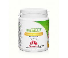 Boswellia Phytosome® – boswellin s vysokou vstrebateľnosťou, 90 toboliek