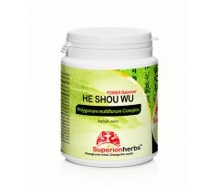 He Shou Wu – extrakt z hľuzy koreňa, 90 toboliek