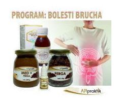 PROGRAM: BOLESTI BRUCHA