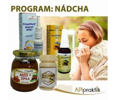 PROGRAM: NÁDCHA