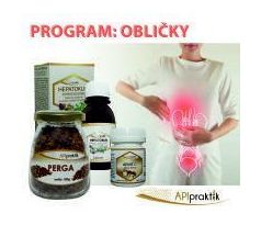 PROGRAM: OBLIČKY