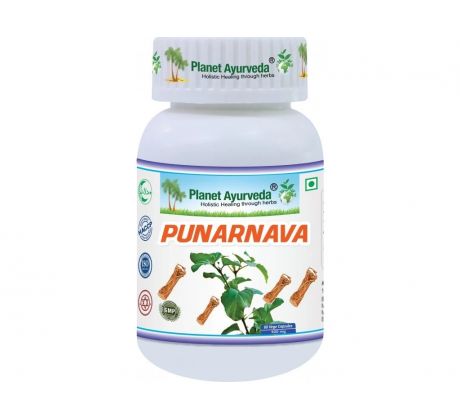 Punarnava- zdravie obličiek, pečene- 500mg, 60 kapsúl