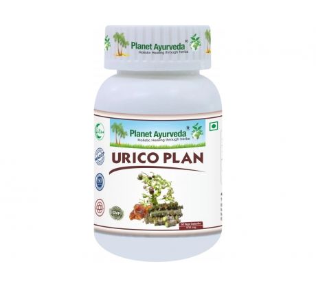 Urico Plan- zdravie močového systému- 500mg, 60 kapsúl