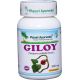 Giloy (Guduchi), antioxidant, podpora imunity, 60 kapsúl, 50 % zľava